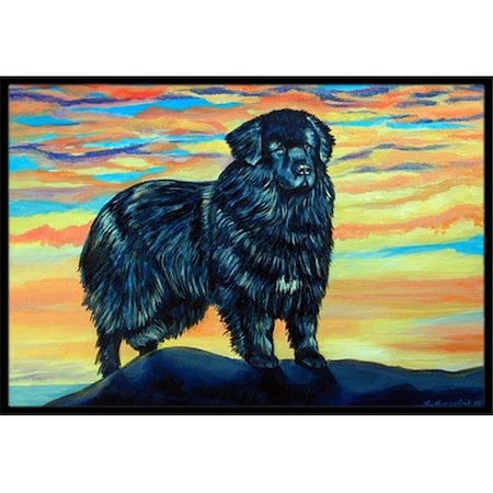 Carolines Treasures Carolines Treasures 7518MAT 18 x 27 in. Newfoundland Indoor Outdoor Mat 7518MAT